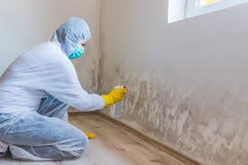 Best Mold Damage Restoration  in Harbor Isle, NY