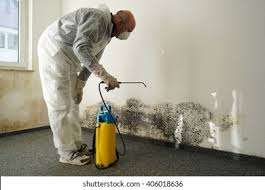 Best Mold Odor Removal Services  in Harbor Isle, NY